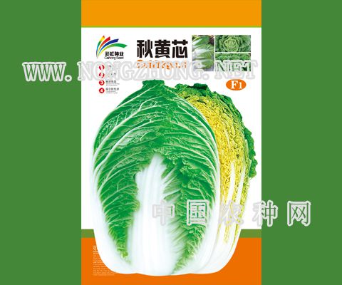  秋黄芯